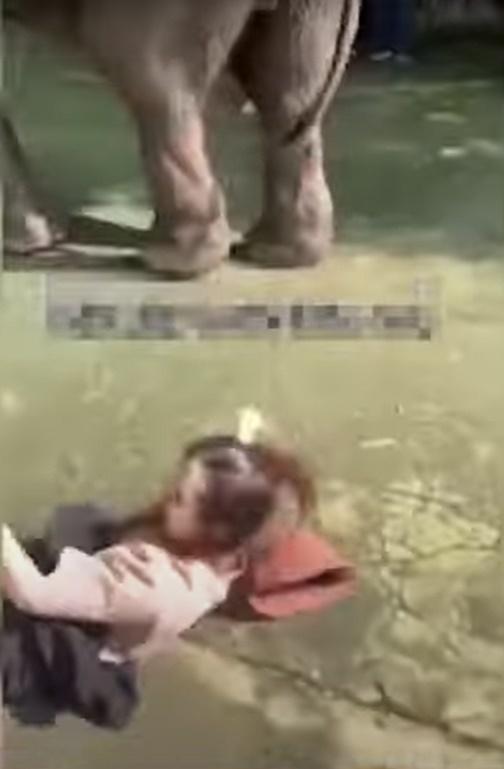 女子受驚隨慌張地爬起身,但慶幸沒有因此受重傷。(YouTube)