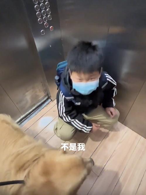 男童一時沒意會過來,以為是在叫自己,便立刻蹲下來。(微博)