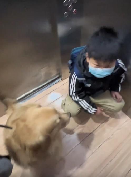 狗狗看著男童似乎也有點呆住,過了幾秒才跟著坐下。(微博)