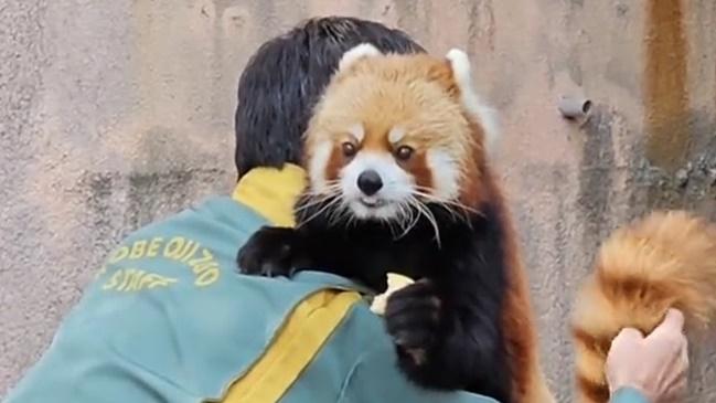 Jazz露出一副完全放鬆的姿態,似乎有食物萬事足,讓對方為自己身體各處進行健康檢查。(X)