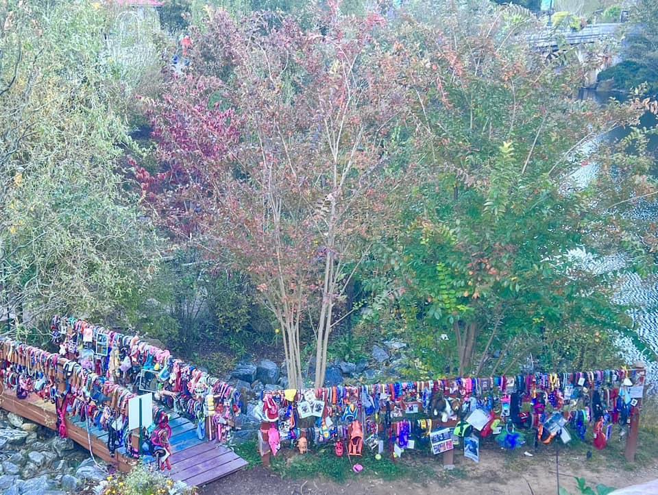 至今已一年多,項圈的數量已經有逾千條,扣滿橋的兩旁和附近的欄扞。(FB)