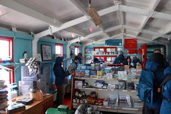 四周除了有數百隻企鵝,還具有80周年紀念歷史遺址和博物館的功能。(X)