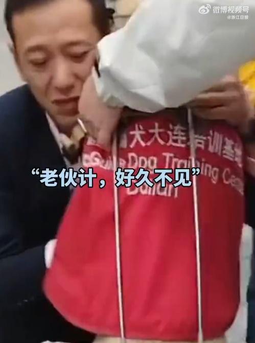 導盲犬在機場一見到兒時照顧過牠的原飼主,很快已將他認出。(微博)