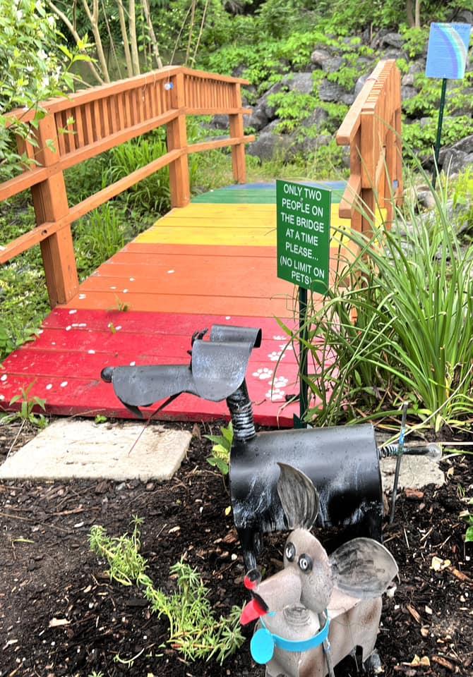 美國藝術家Amy Wald於2022年5月,打造了一道彩虹橋,將Molly和Barkley的項圈掛在橋上。(FB)