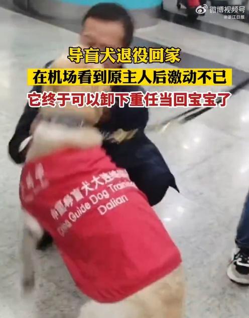 狗狗立即興奮地撲過去狂擺尾巴,又撲又吻,情緒非常激動。(微博)