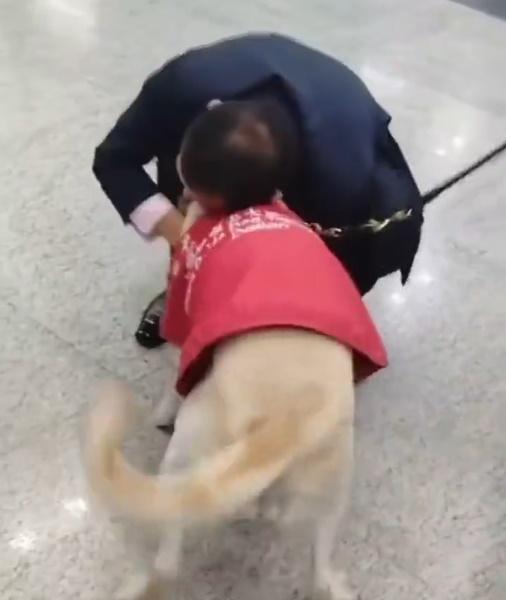 飼主也對狗狗的熱情為之動容,蹲下給牠大大的擁抱。(微博)
