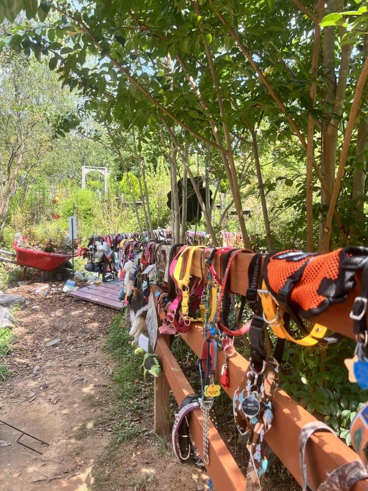 至今已一年多,項圈的數量已經有逾千條,扣滿橋的兩旁和附近的欄扞。(FB)