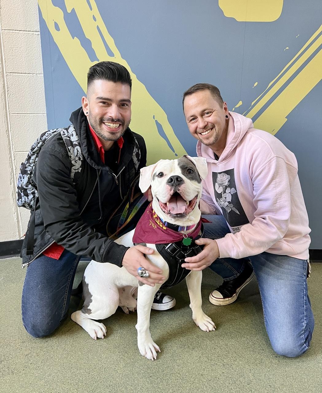 Elvis終於找到永遠的家。(The Anti-Cruelty Society@FB)