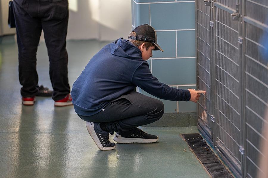 這次活動相當成功,在短短的幾小時內,竟然有61隻貓狗順利找到新家庭。(The Anti-Cruelty Society@FB)