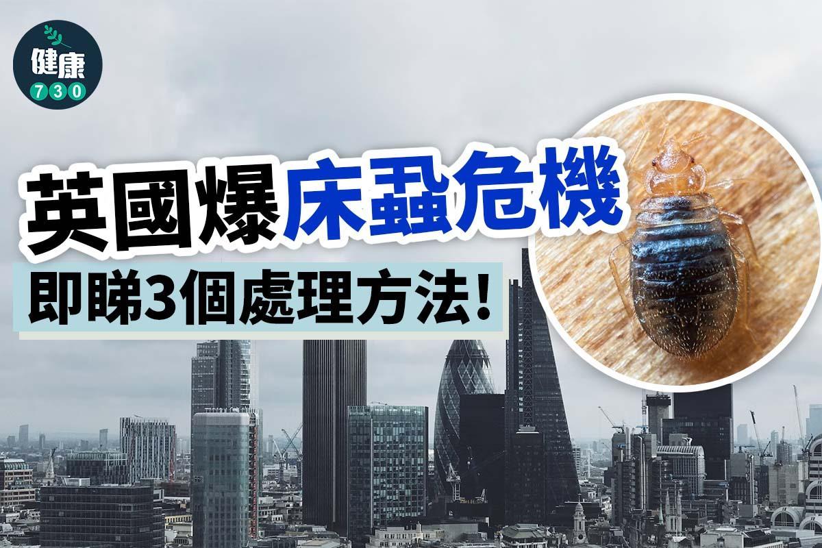 床蝨處理及天敵(am730製圖)