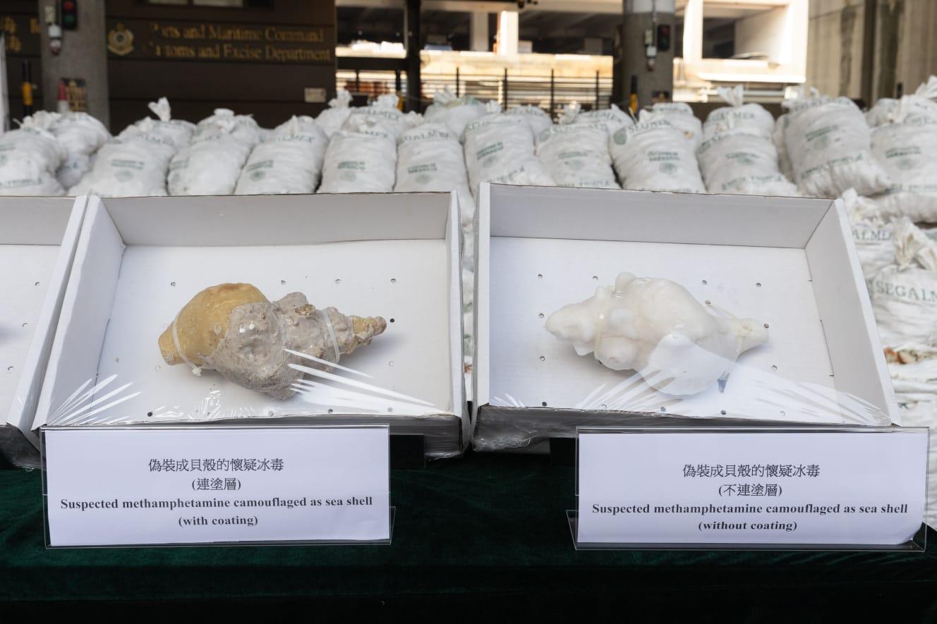 假貝殼裡面呈晶狀物體,外面就塗上蠟質塗層,顏色和外表都與真貝殼有所不同。(蘇文傑攝)