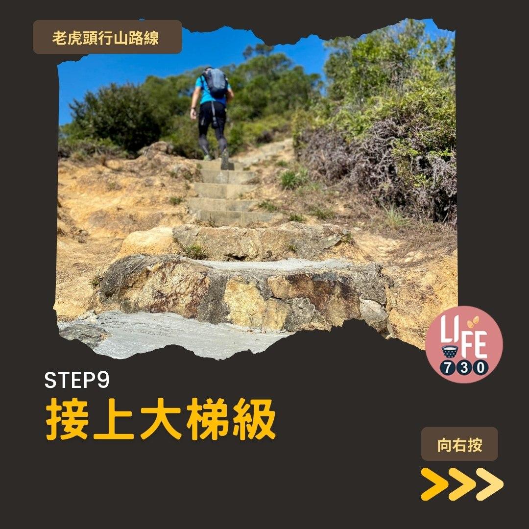 芒草2023|老虎頭行山路線(am730製圖)