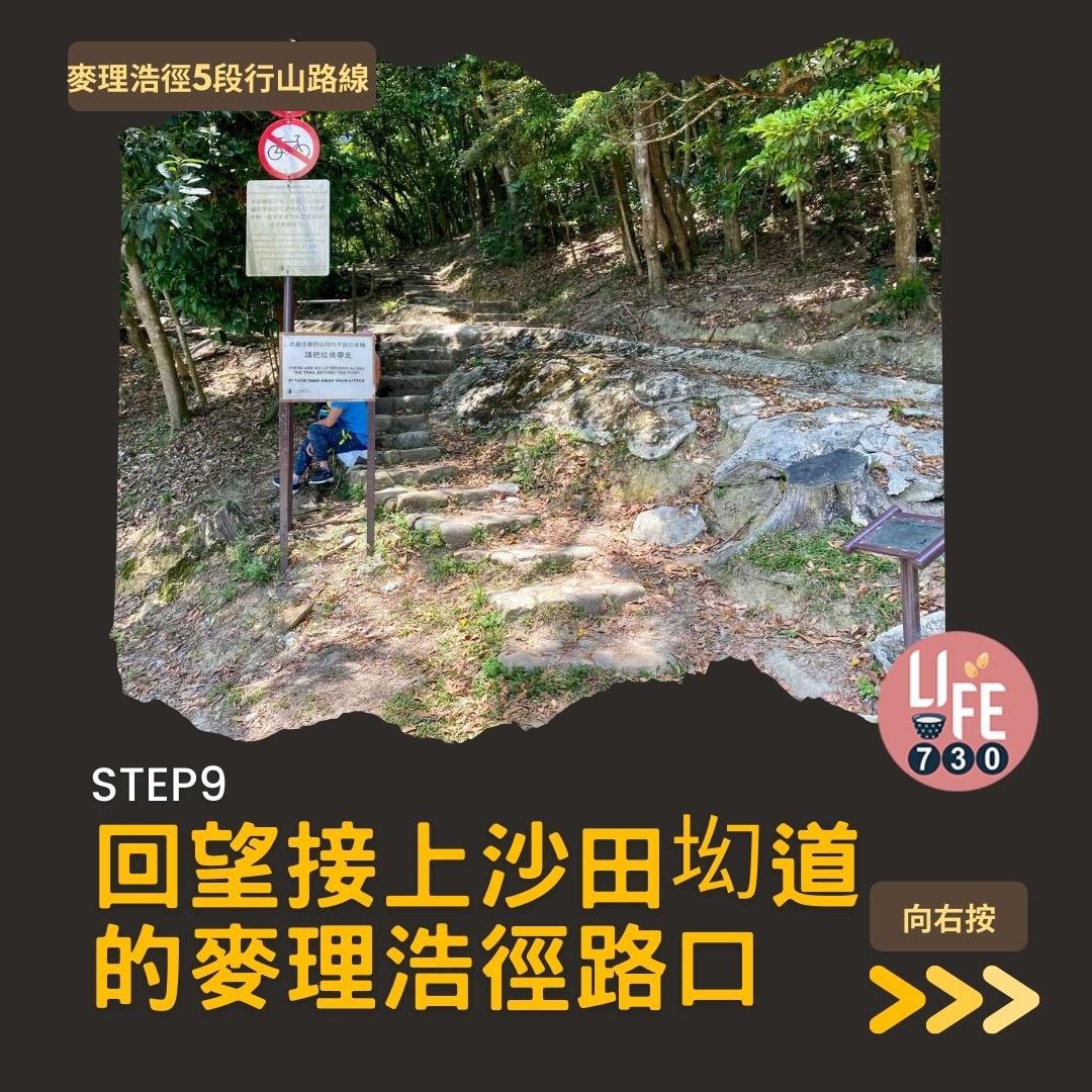 麥理浩徑5段行山路線(am730製圖)
