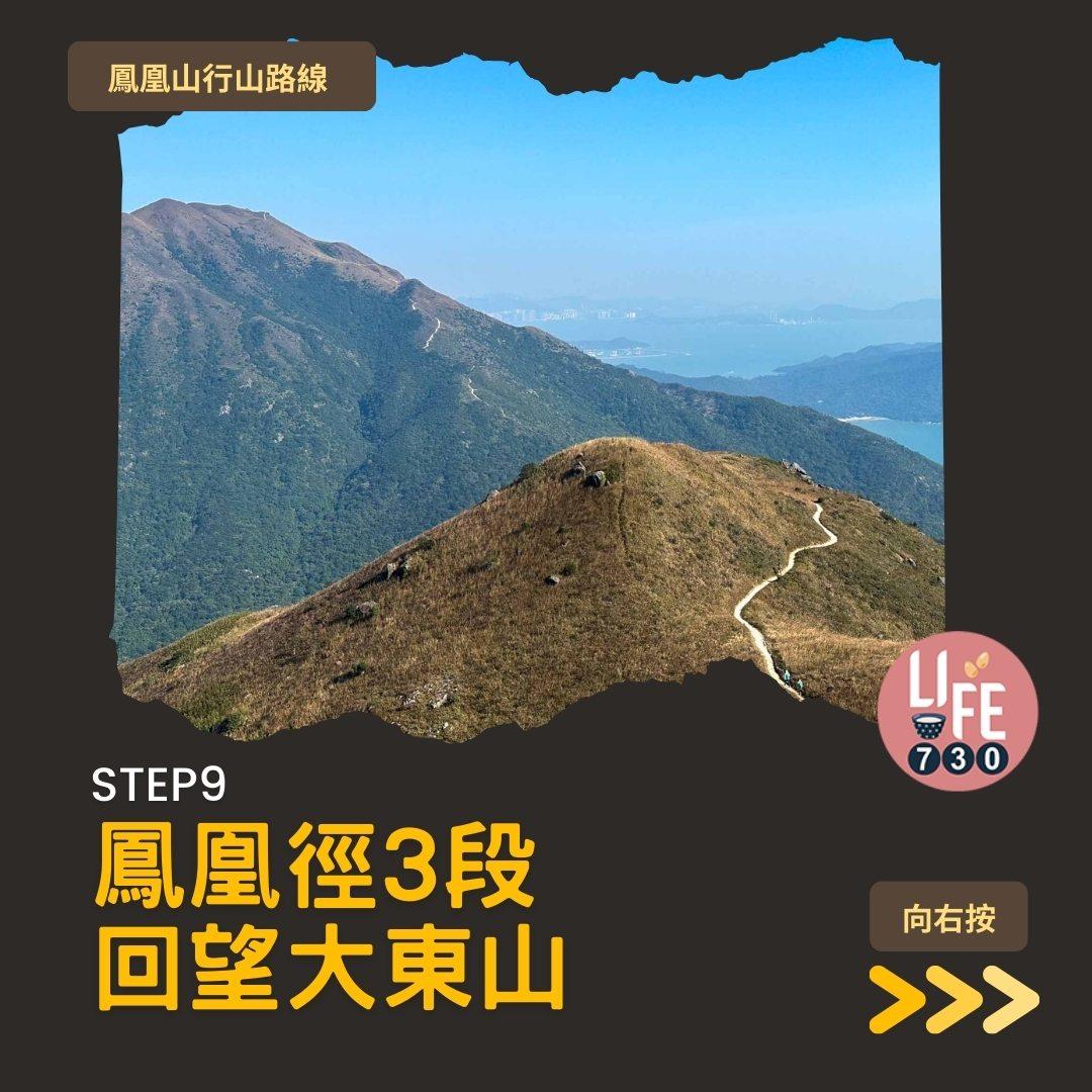 鳳凰徑三段登鳳凰山賞芒草行山路線(am730製圖)