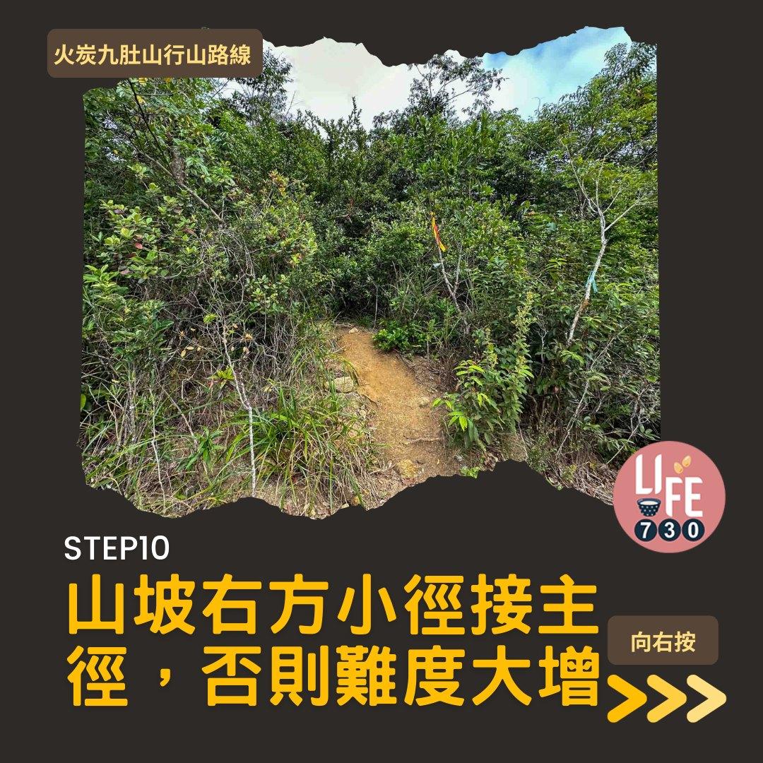 火炭九肚山行山路線賞芒草(am730製圖)