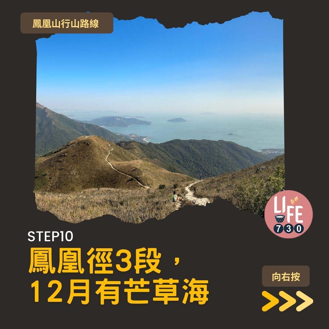 鳳凰徑三段登鳳凰山賞芒草行山路線(am730製圖)