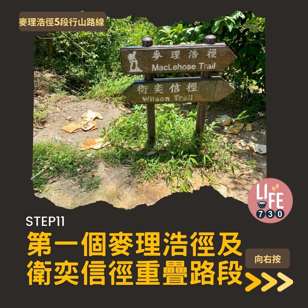 麥理浩徑5段行山路線(am730製圖)