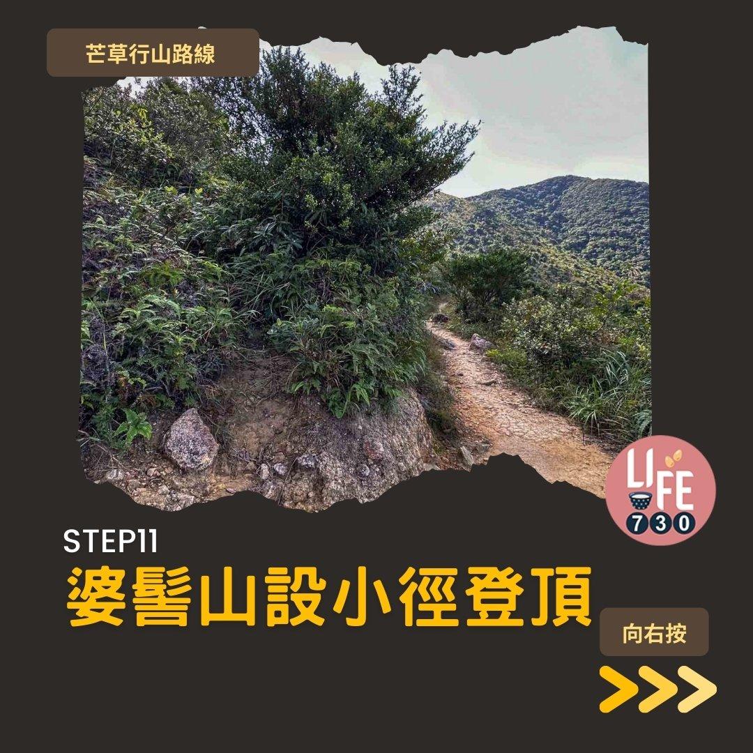 芒草行山路線︱蓮花山接大東山爛頭營(am730製圖)