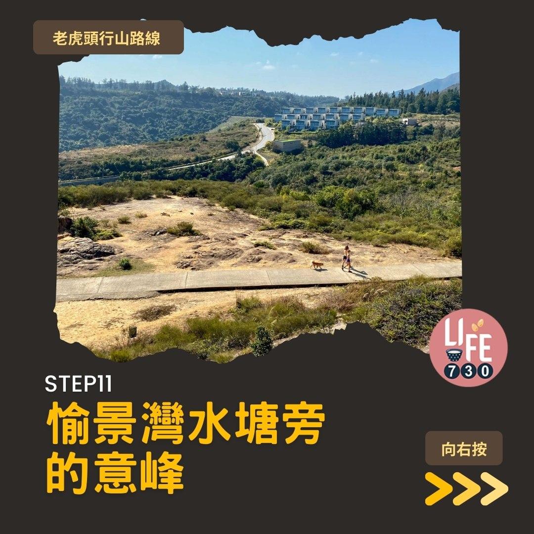 芒草2023|老虎頭行山路線(am730製圖)