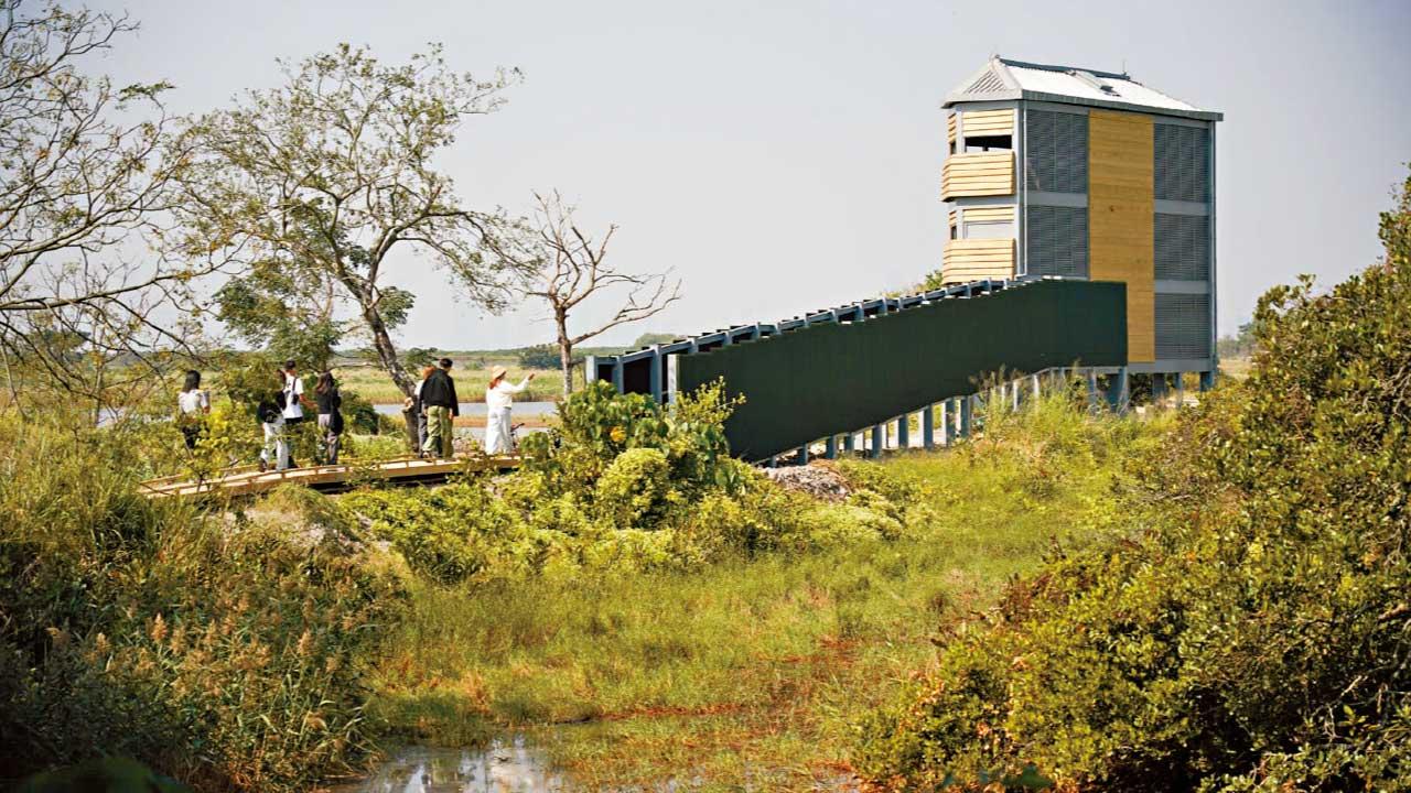 米埔新訪客中心 觀鳥屋