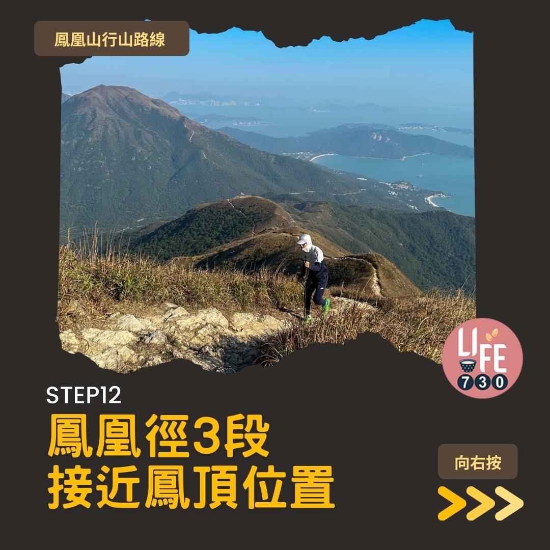 鳳凰徑三段登鳳凰山賞芒草行山路線(am730製圖)