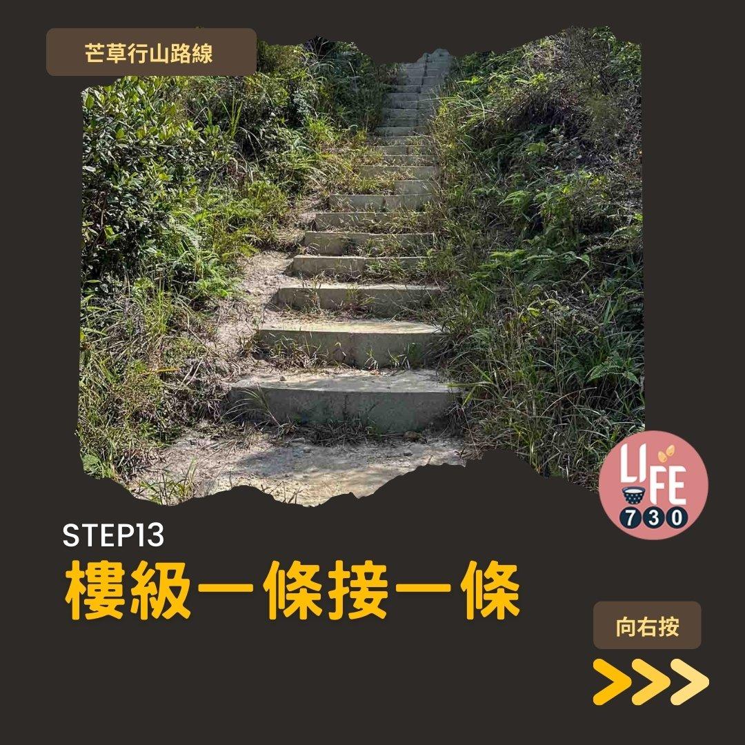 芒草行山路線︱蓮花山接大東山爛頭營(am730製圖)