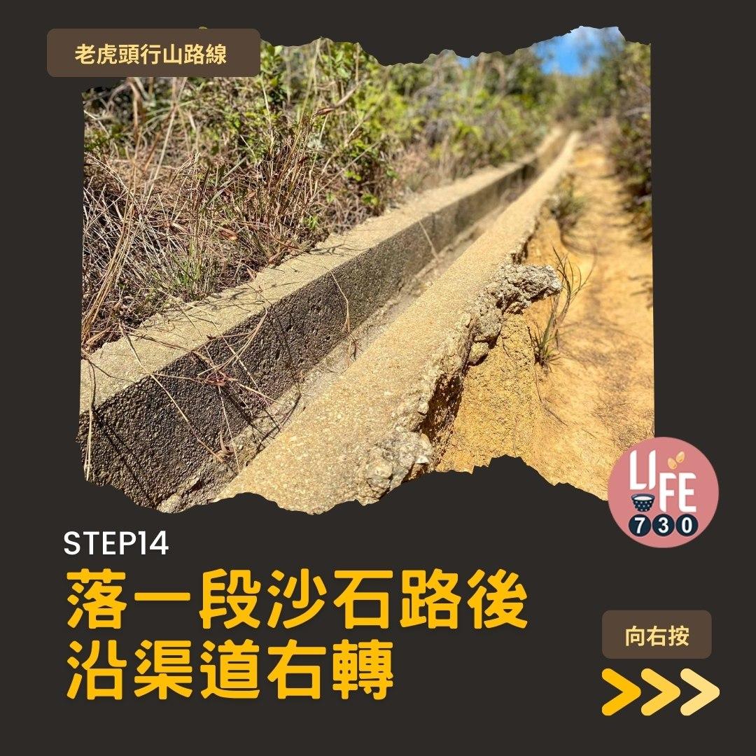 芒草2023|老虎頭行山路線(am730製圖)