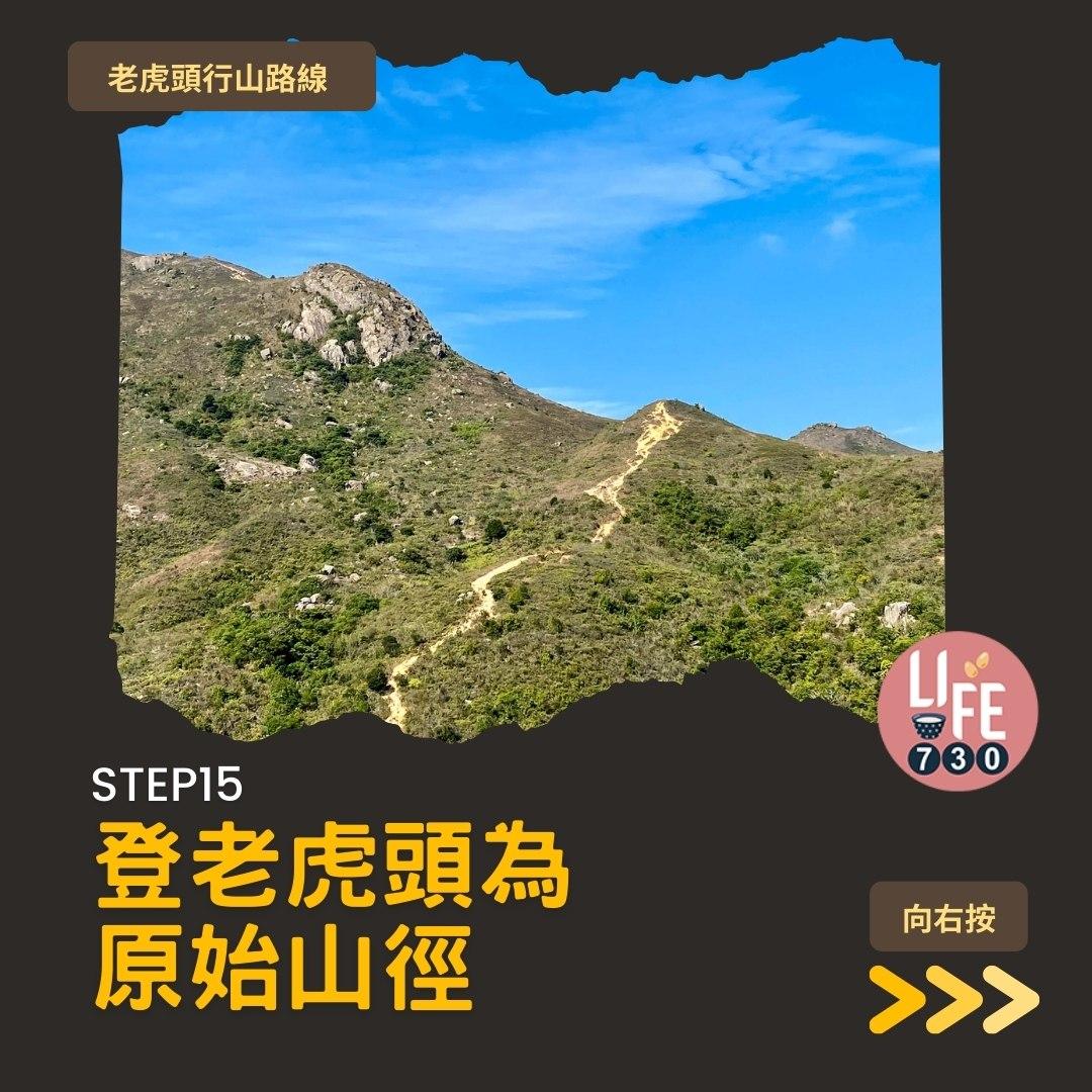 芒草2023|老虎頭行山路線(am730製圖)