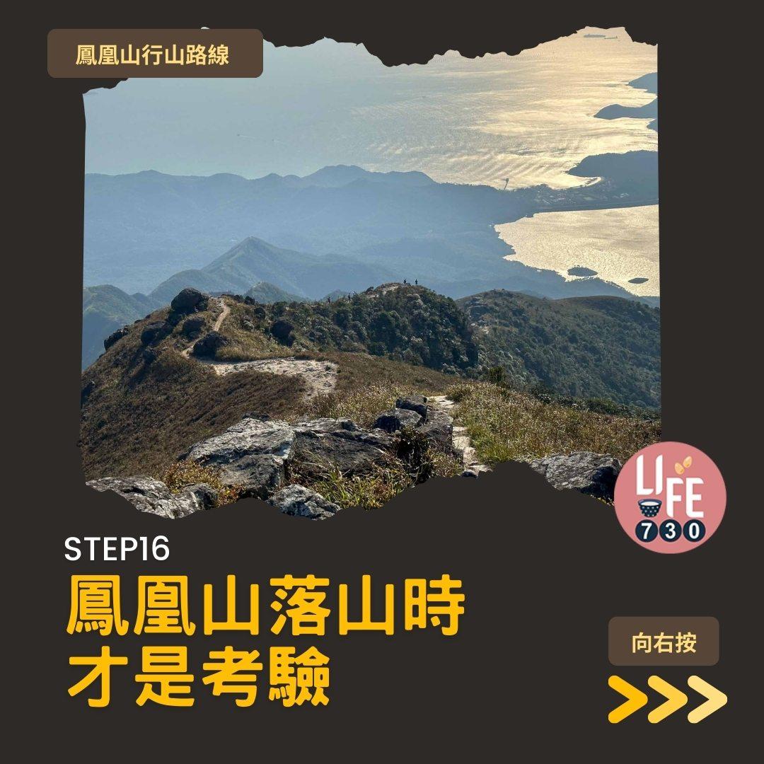 鳳凰徑三段登鳳凰山賞芒草行山路線(am730製圖)