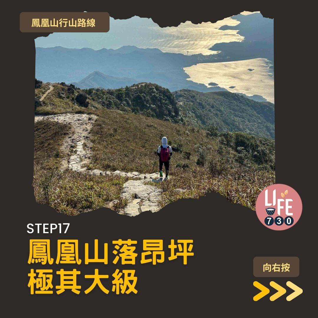 鳳凰徑三段登鳳凰山賞芒草行山路線(am730製圖)