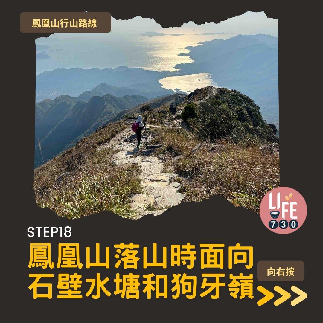 鳳凰徑三段登鳳凰山賞芒草行山路線(am730製圖)