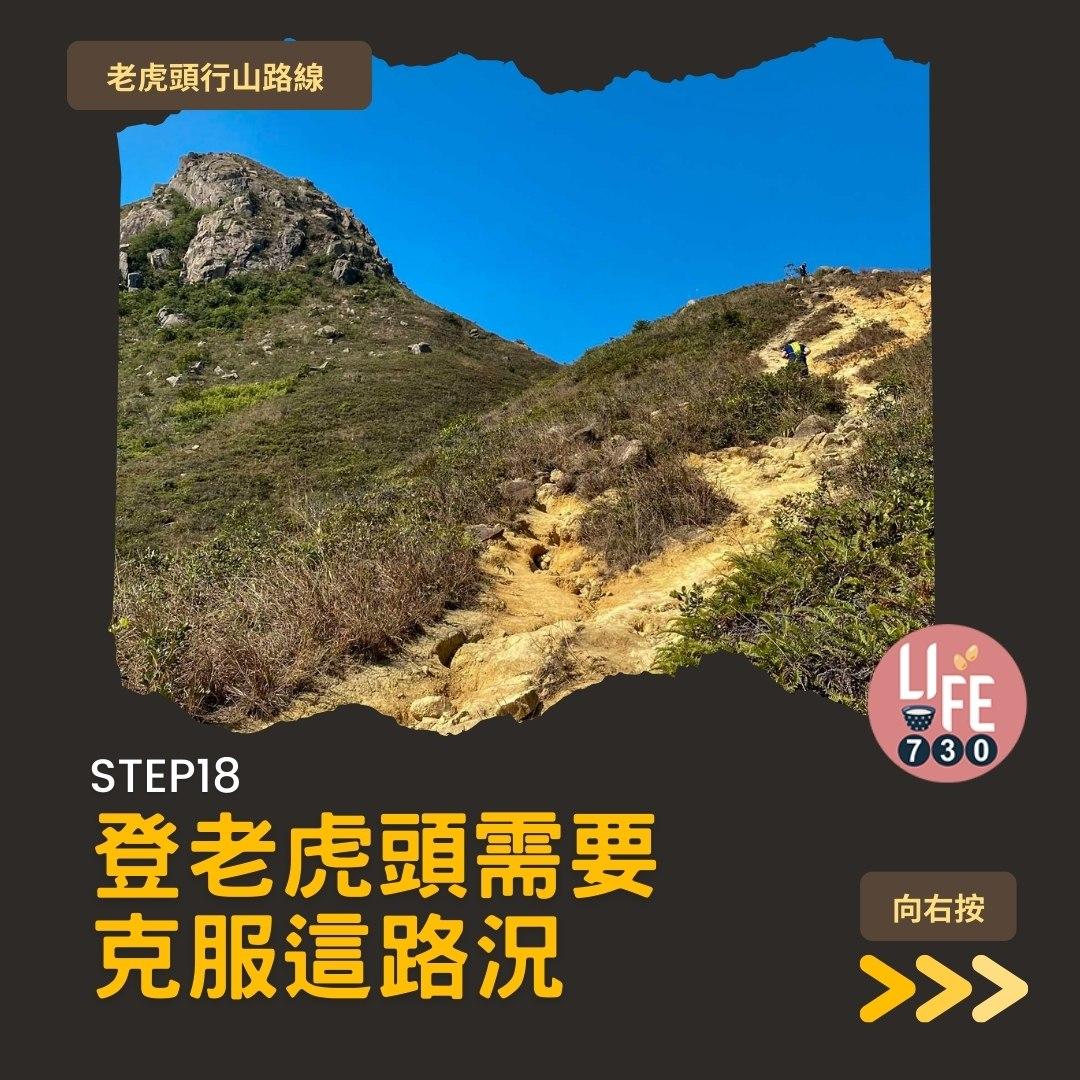 芒草2023|老虎頭行山路線(am730製圖)