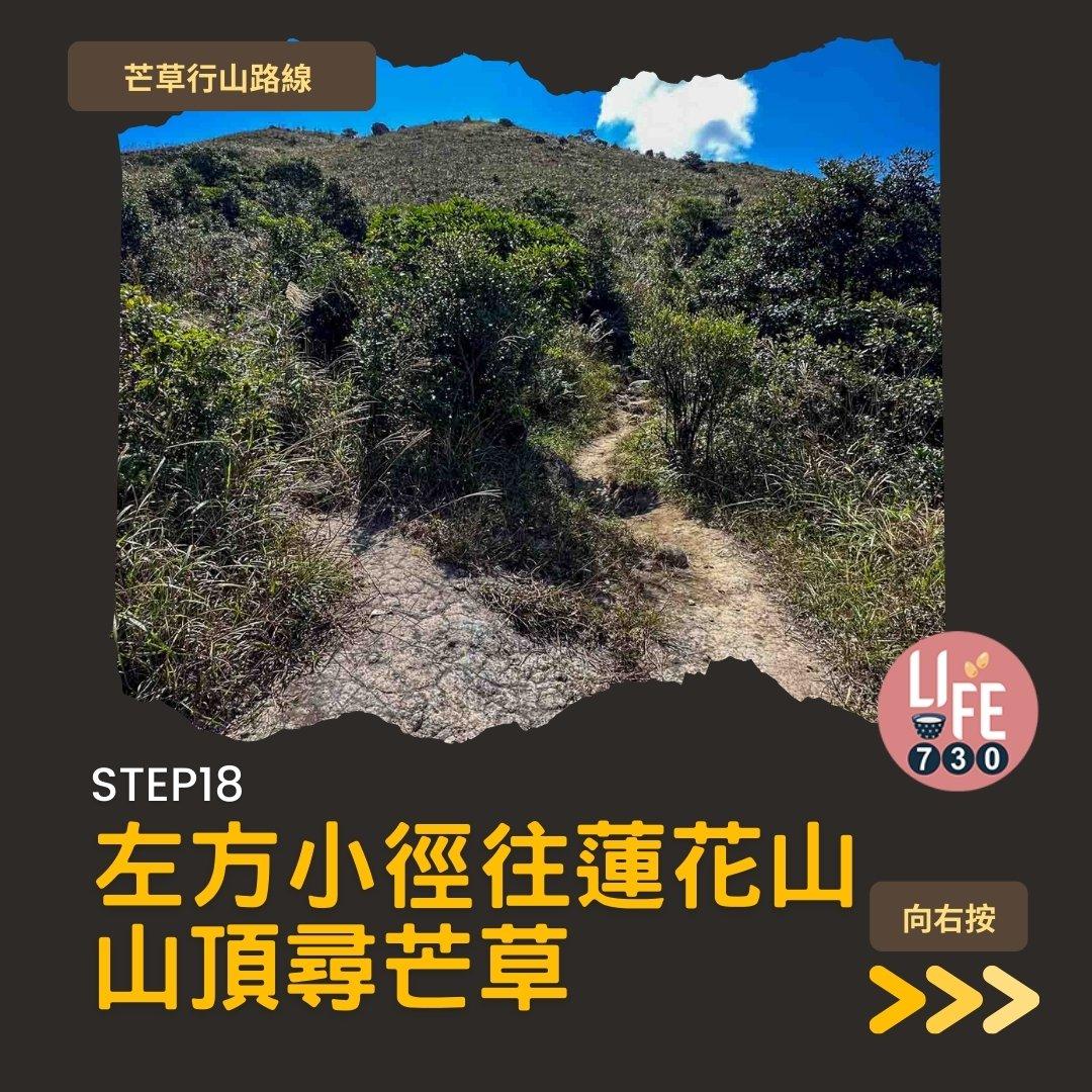 芒草行山路線︱蓮花山接大東山爛頭營(am730製圖)