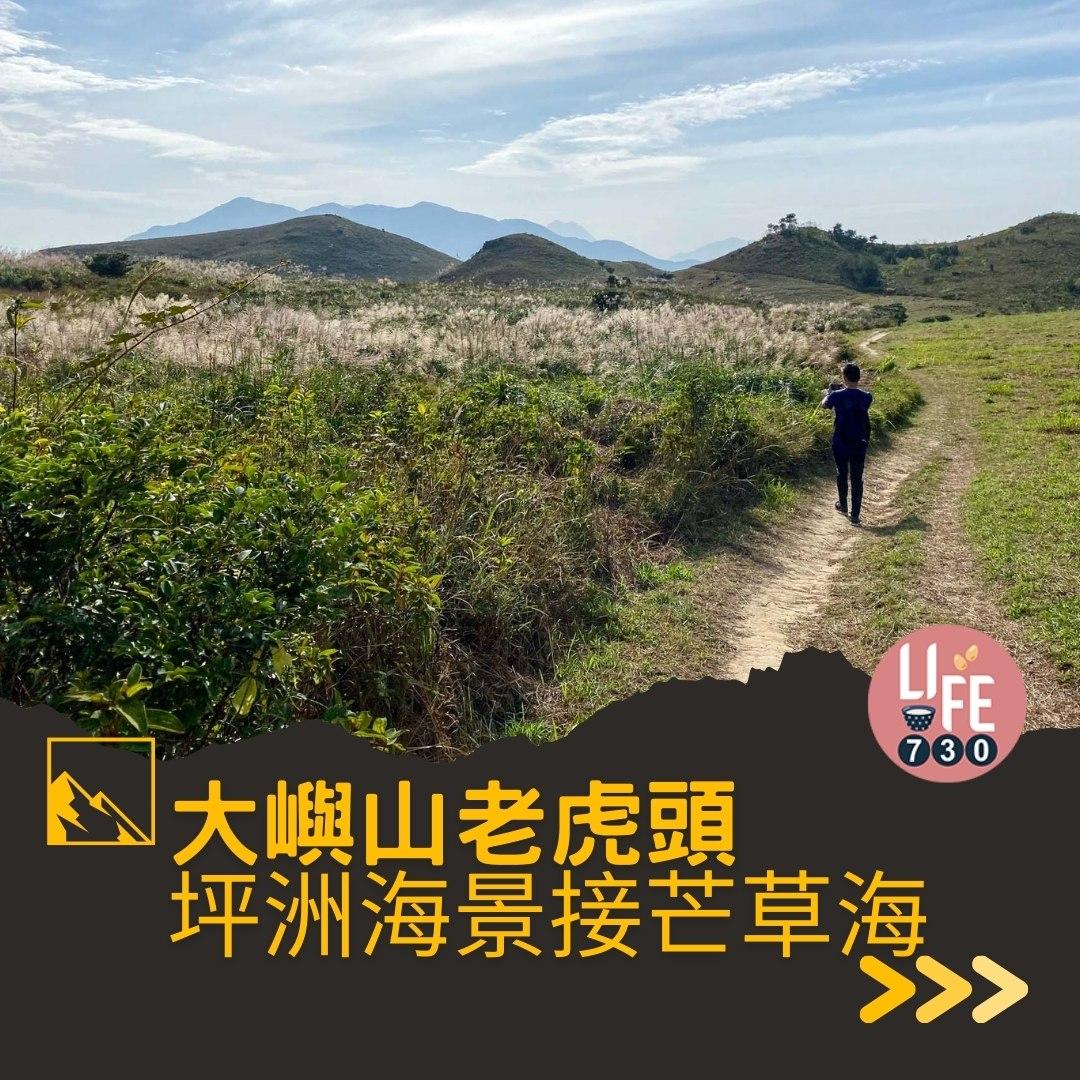 芒草2023|老虎頭行山路線(am730製圖)