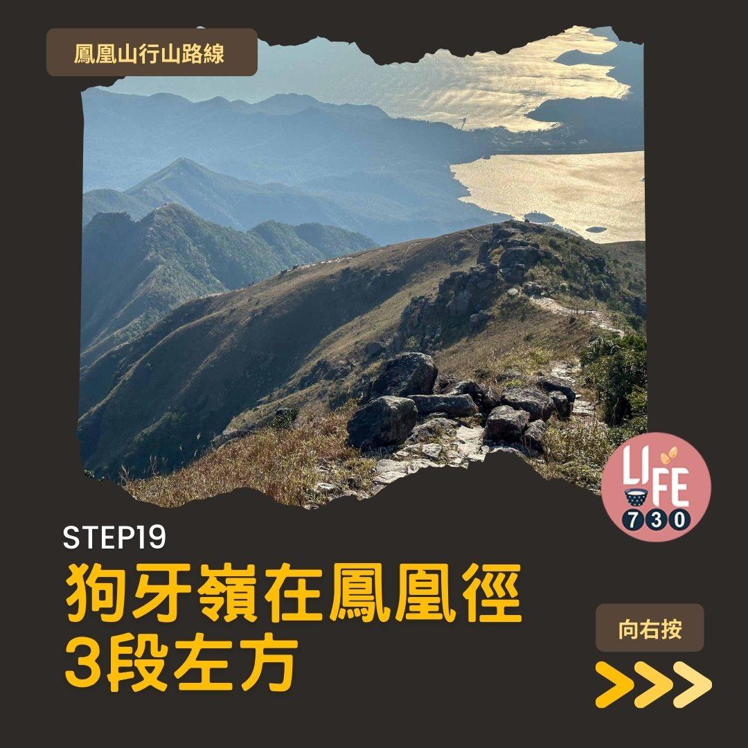 鳳凰徑三段登鳳凰山賞芒草行山路線(am730製圖)