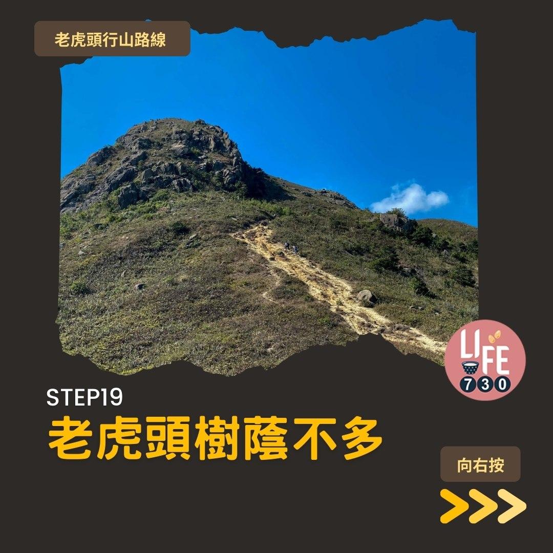 芒草2023|老虎頭行山路線(am730製圖)