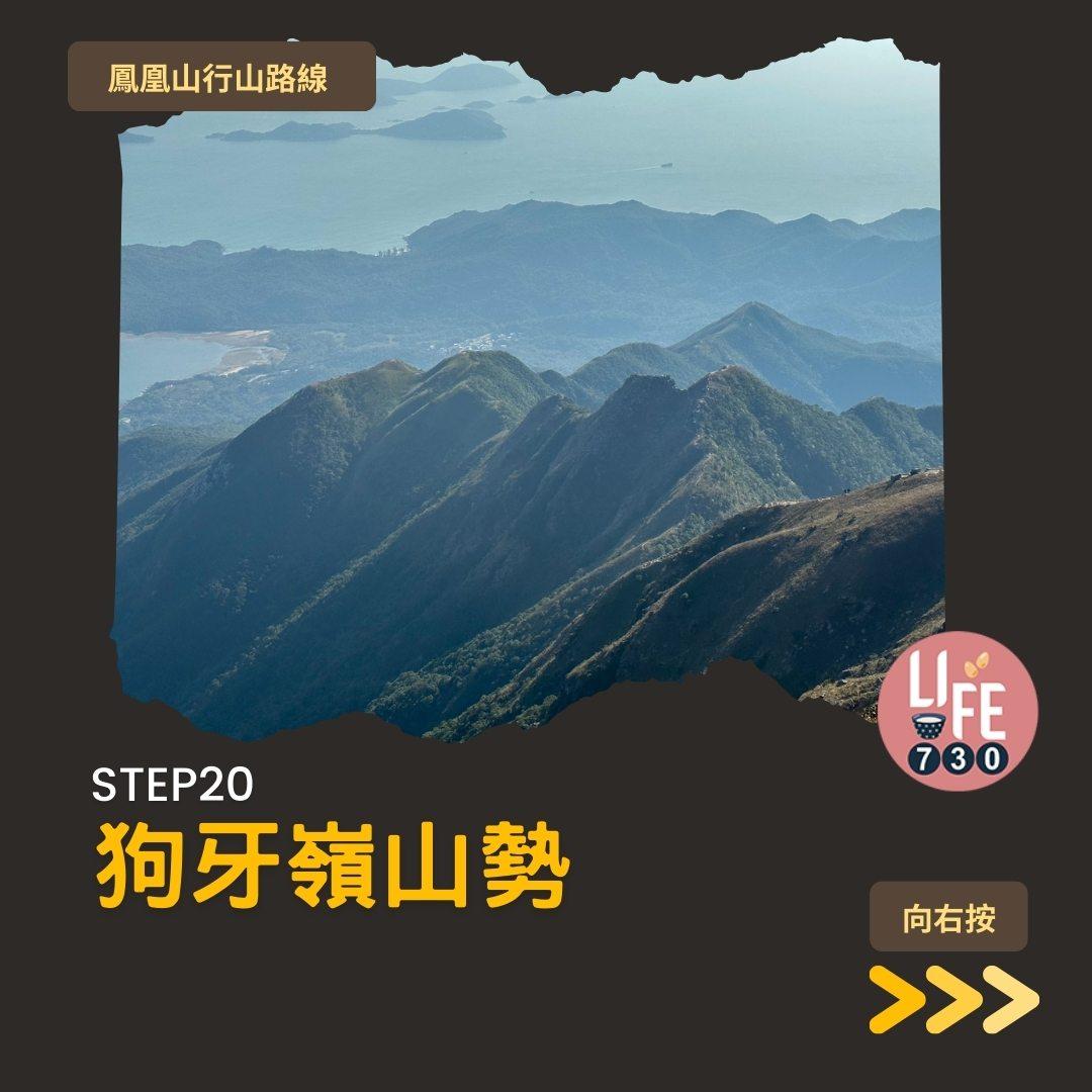 鳳凰徑三段登鳳凰山賞芒草行山路線(am730製圖)