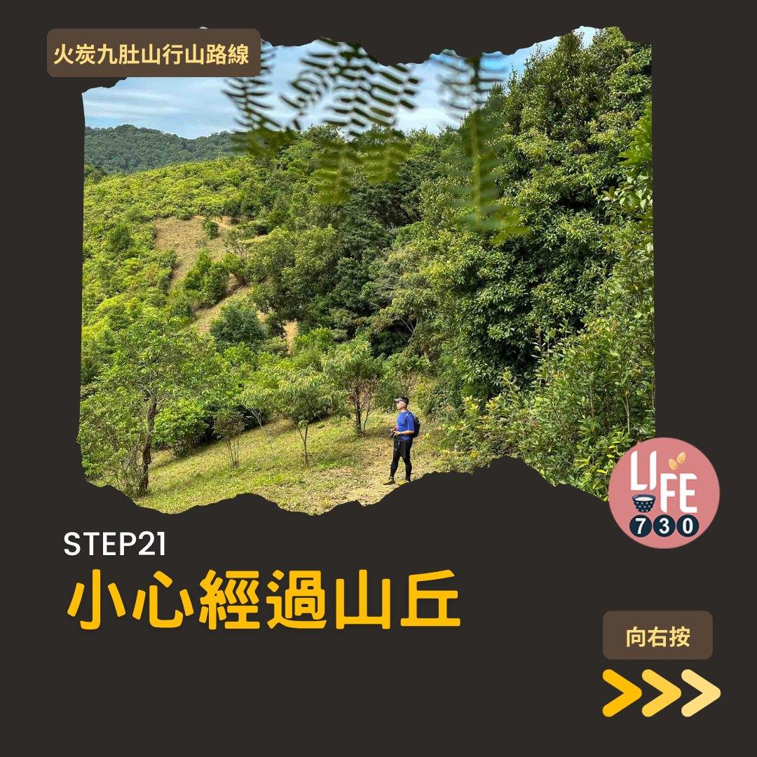 火炭九肚山行山路線賞芒草(am730製圖)