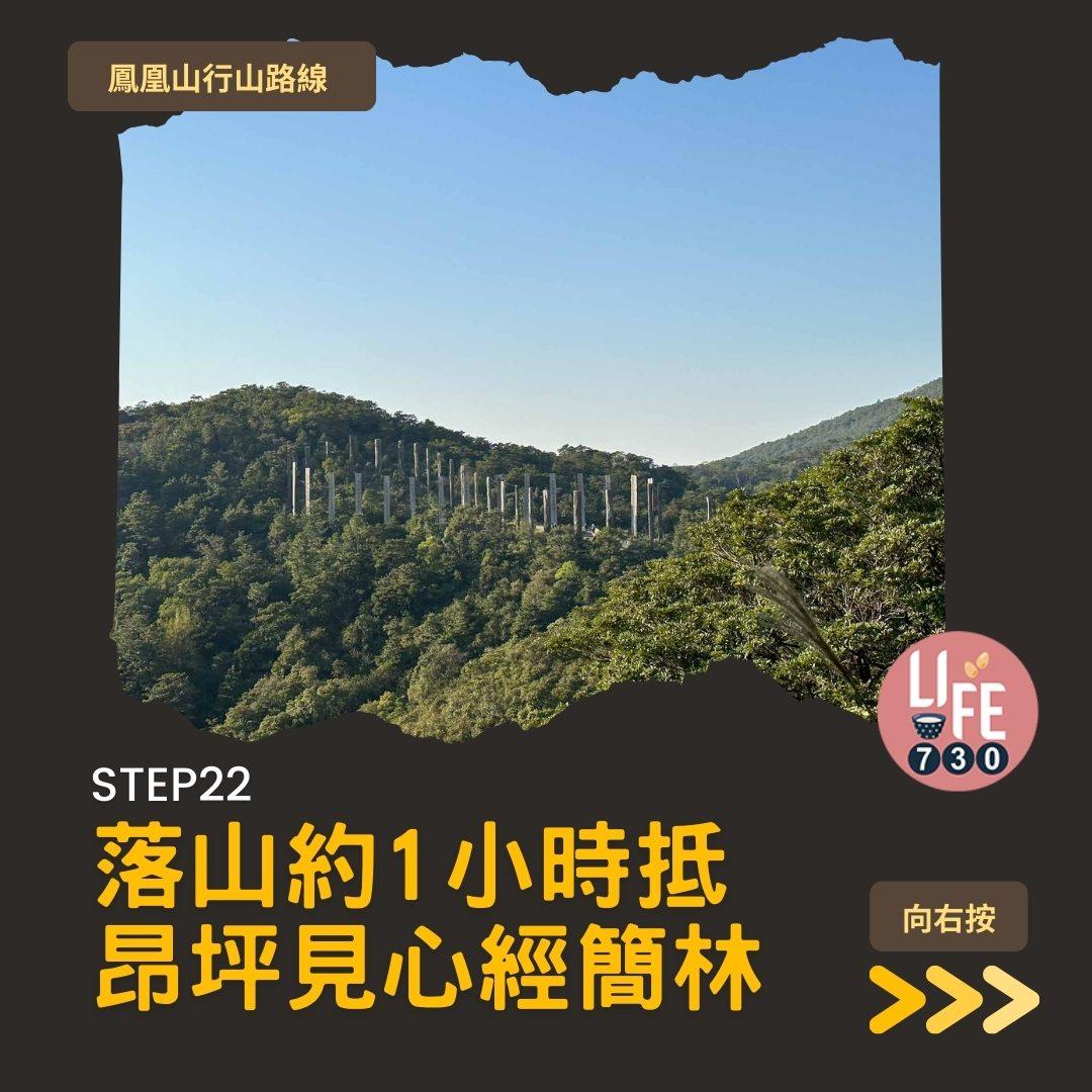 鳳凰徑三段登鳳凰山賞芒草行山路線(am730製圖)