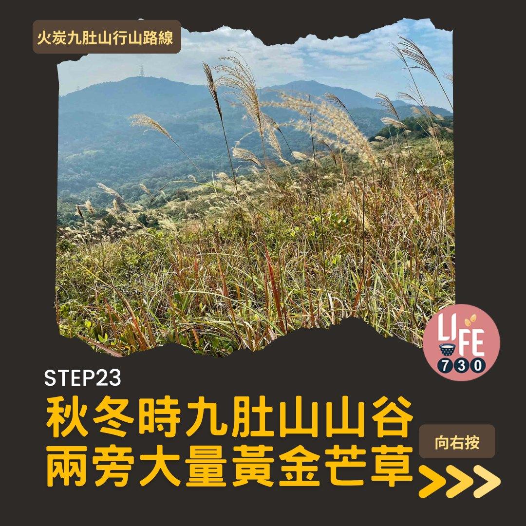火炭九肚山行山路線賞芒草(am730製圖)