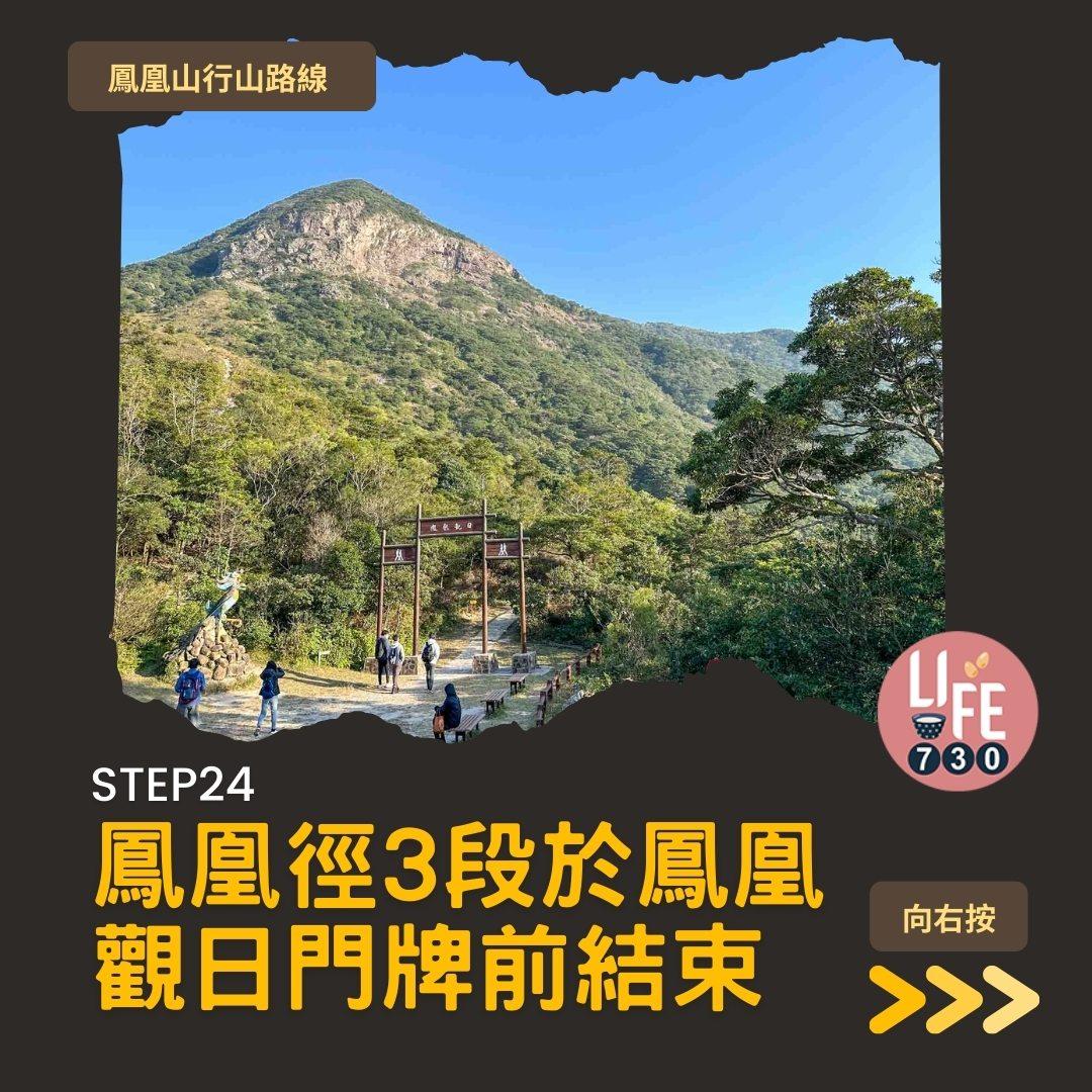 鳳凰徑三段登鳳凰山賞芒草行山路線(am730製圖)