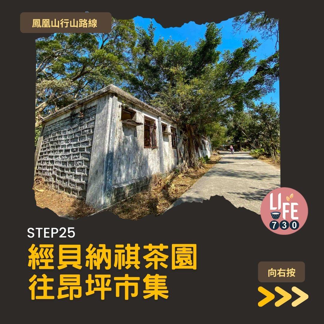 鳳凰徑三段登鳳凰山賞芒草行山路線(am730製圖)