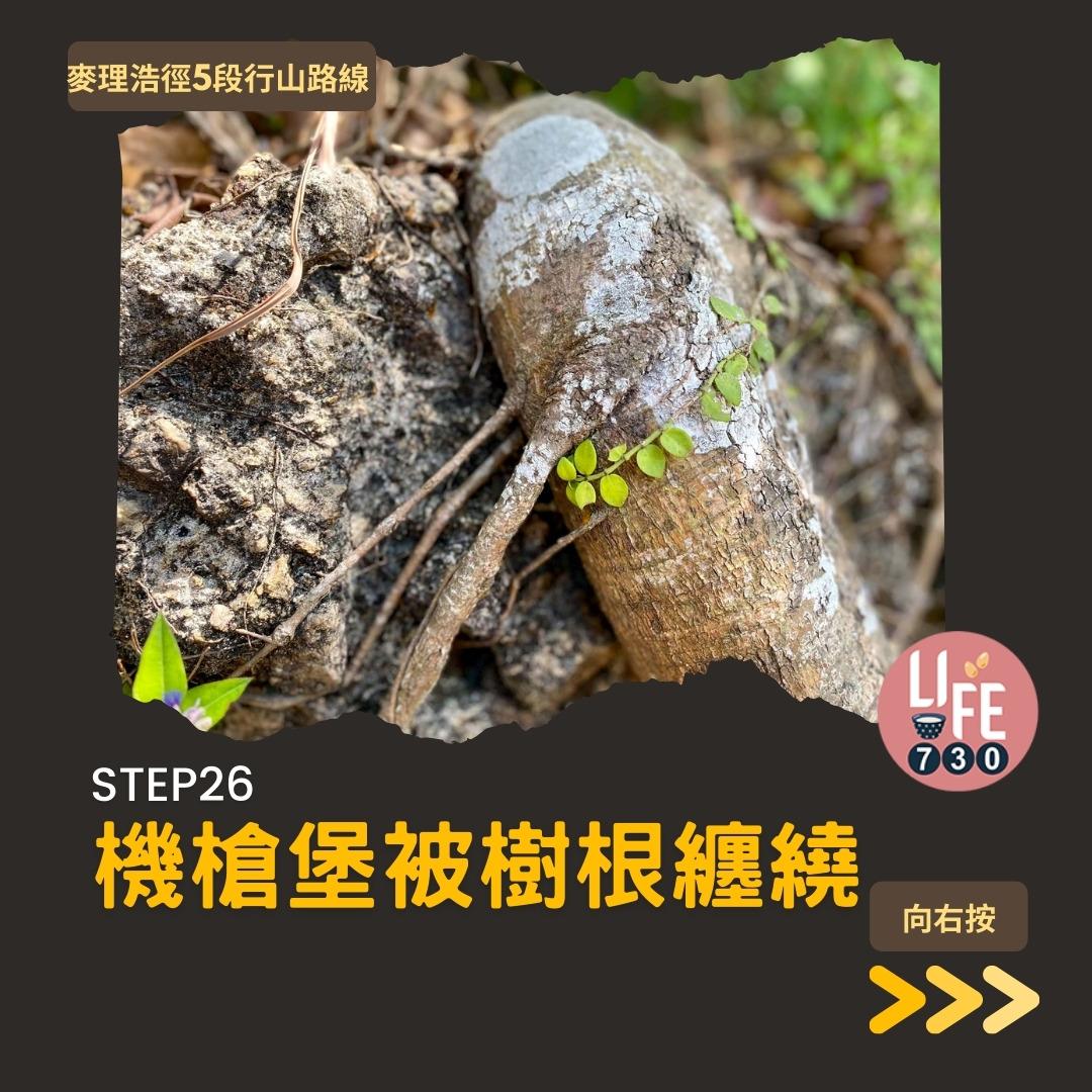 麥理浩徑5段行山路線(am730製圖)