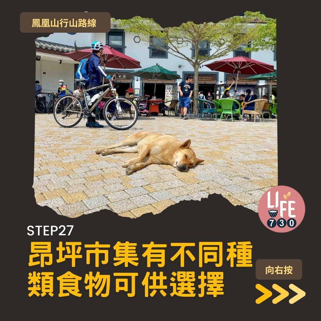 鳳凰徑三段登鳳凰山賞芒草行山路線(am730製圖)