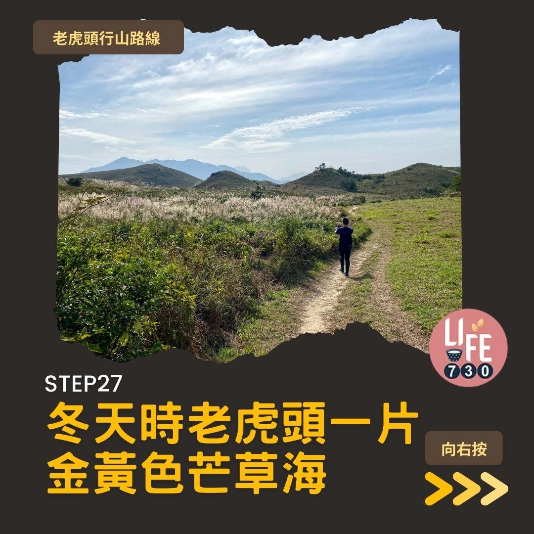 芒草2023|老虎頭行山路線(am730製圖)