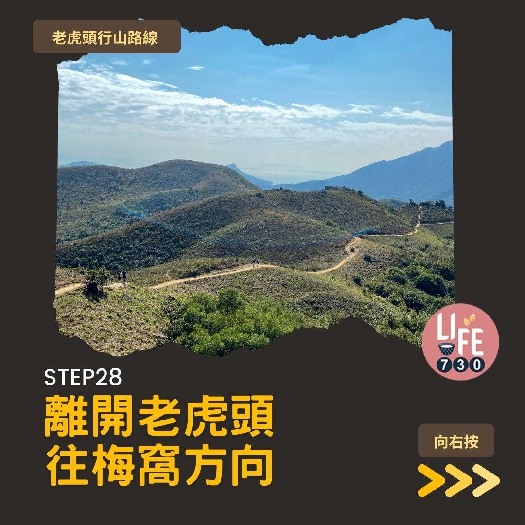 芒草2023|老虎頭行山路線(am730製圖)