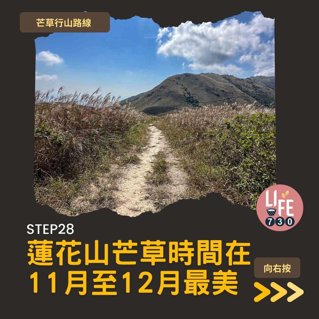 芒草行山路線︱蓮花山接大東山爛頭營(am730製圖)