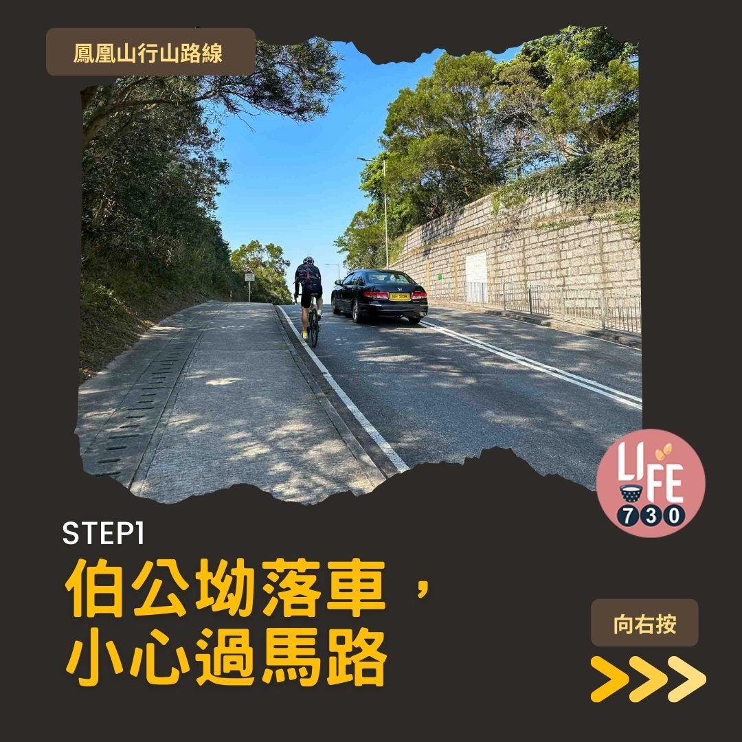 鳳凰徑三段登鳳凰山賞芒草行山路線(am730製圖)