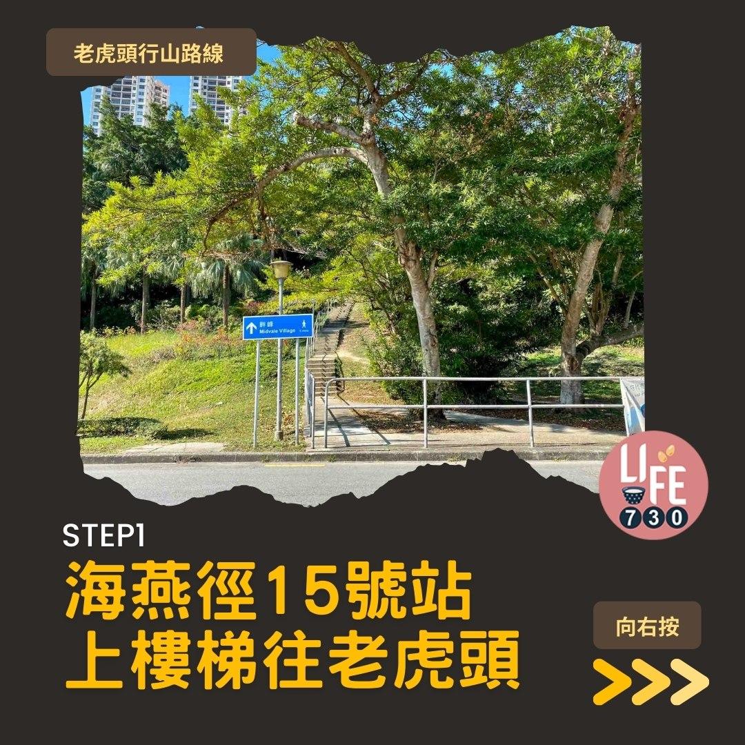 芒草2023|老虎頭行山路線(am730製圖)