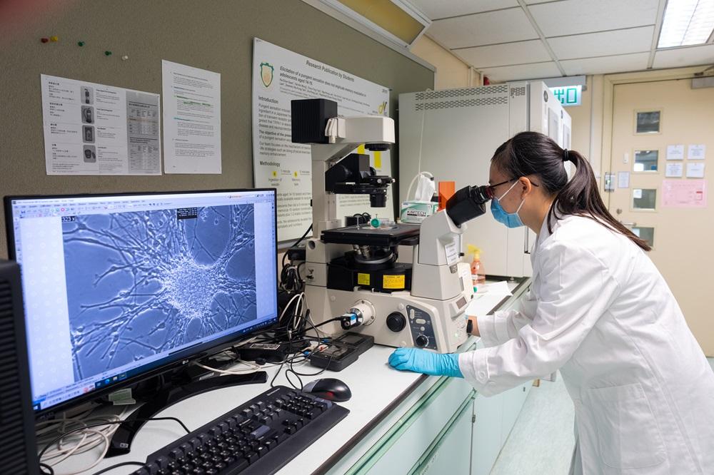 同學正在研究幹細胞科學。